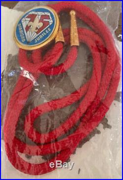 40 + Vintage BSA Boy Scout Patch Lot Huge Assortment Belt Buckle Scarf Bolo Tie