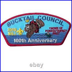 BSA Council 100th Anniversary 2010 Bucktail NSJ Shoulder Patch 4-Seasonal Set PA