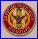 BSA-National-Office-Patch-Assistant-Chief-Scout-Executive-Mint-01-ws