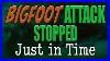 Bigfoot-Attacking-Kids-Stopped-Just-In-Time-01-ly