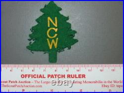 Boy Scout North Central Washington council patch WA 9335X
