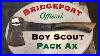 Bridgeport-Official-Boy-Scout-Pack-Ax-01-kvb