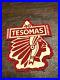 Bsa-1940-Camp-Tesomas-Samoset-Council-Felt-Composition-Patch-Bv-01-bj