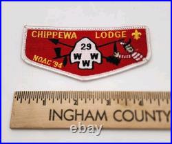 Chippewa OA Lodge 29 1994 NOAC MGM Flap BSA Patch Where's Waldo Rare Patch