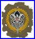Deputy-Commissioner-1920-1938-Position-Patch-on-Serge-Wool-Boy-Scouts-BSA-01-cbg