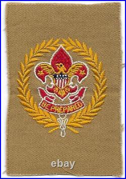 Field Executive 1921-1938 Adult Position Patch Boy Scouts of America BSA CG