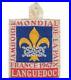 Languedoc-Subcamp-Patch-1947-6th-World-Jamboree-Held-in-France-Boy-Scouts-AF-01-mqd