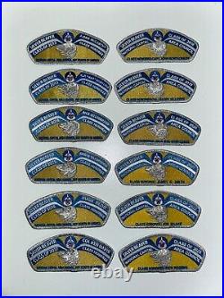 National Capital Area Council Silver Beaver CSP 12 patch set 2012-2023