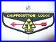 OA-Chippecotton-Lodge-524-S-3-With-Number-2-Per-Life-Camp-Lyle-Racine-Council-WI-01-oxt
