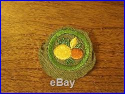 Rare Vintage Early Boy Scout Merit Badge Patch Citrus Fruit Culture