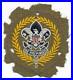 Serge-1920-1938-Deputy-Scout-Commissioner-Position-Patch-Boy-Scouts-of-America-01-xx