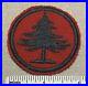 Vintage-1920s-Boy-Scout-PINE-TREE-Felt-Patrol-Badge-PATCH-NO-BSA-Red-Black-Early-01-pipy