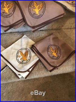 Vintage Boy Scouts BSA golden Falcon Transatlantic Council Training Patch Hat +
