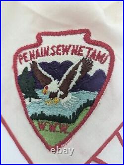 Vintage Rare Penain-Sew-Netami Boy Scout Neckerchief With Patch